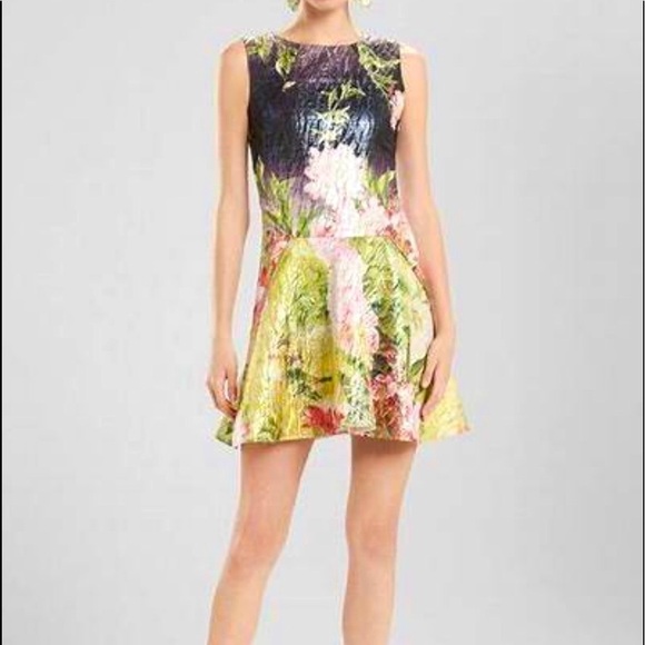 NATORI Birds Of Paradise Jacquard Shimmer Metallic Drop Waist Dress Size 10 NEW - Picture 4 of 12